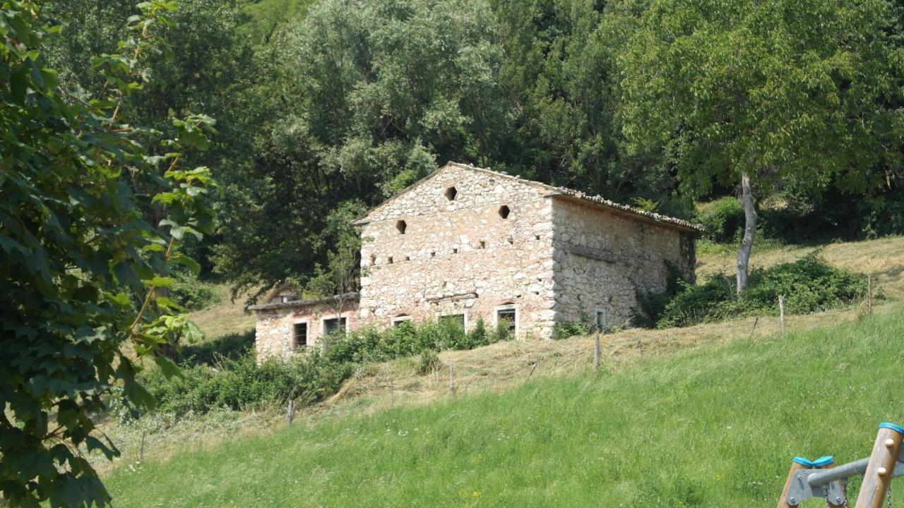 Fattoria Monte Baldo Vista