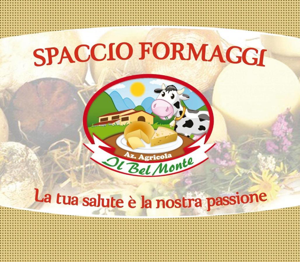 Agroturismo Fattoria Monte Baldo Vista
