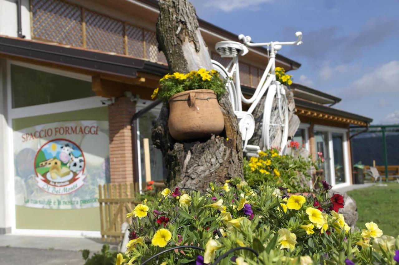 Agroturismo Fattoria Monte Baldo Vista