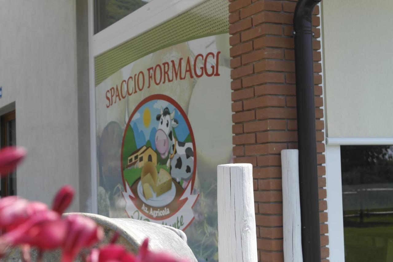 Fattoria Monte Baldo