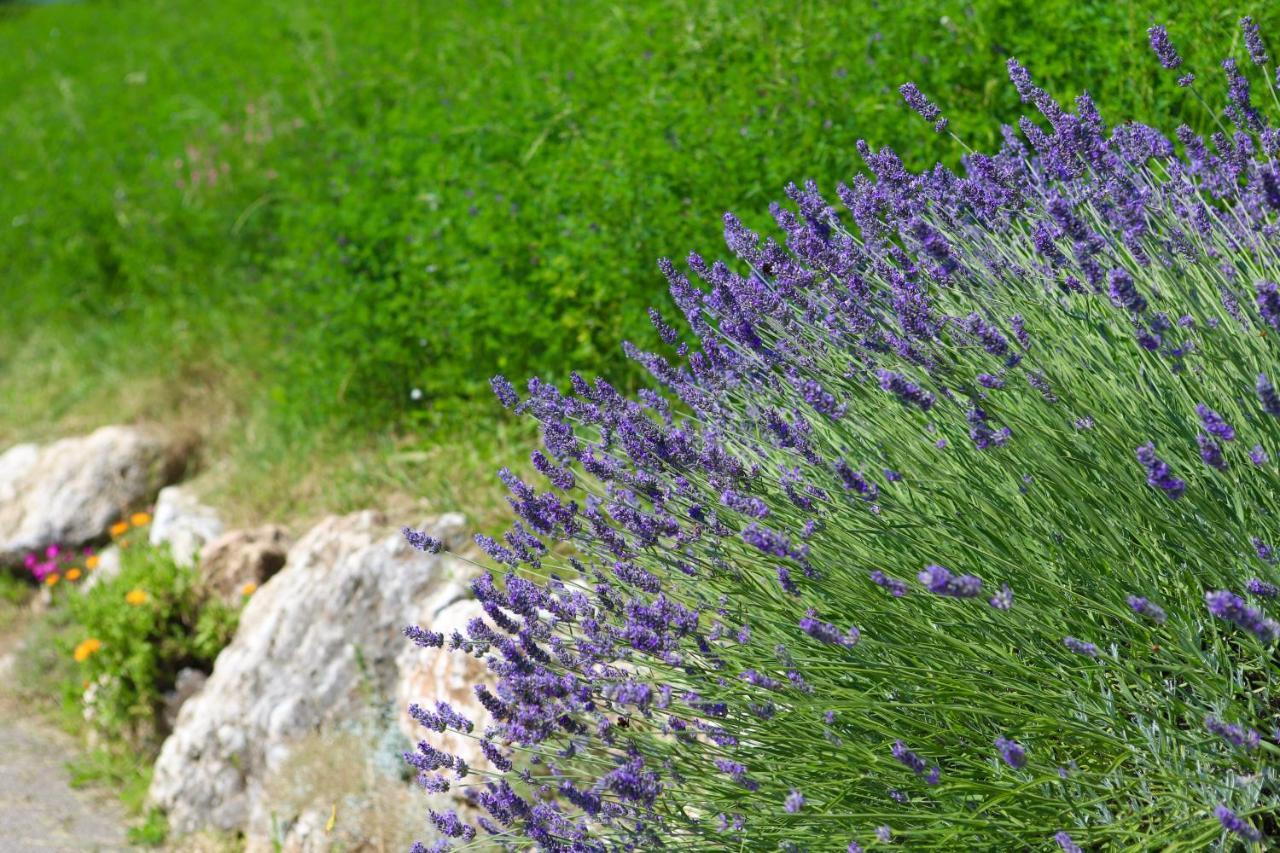 Alloggio per agriturismo Fattoria Monte Baldo