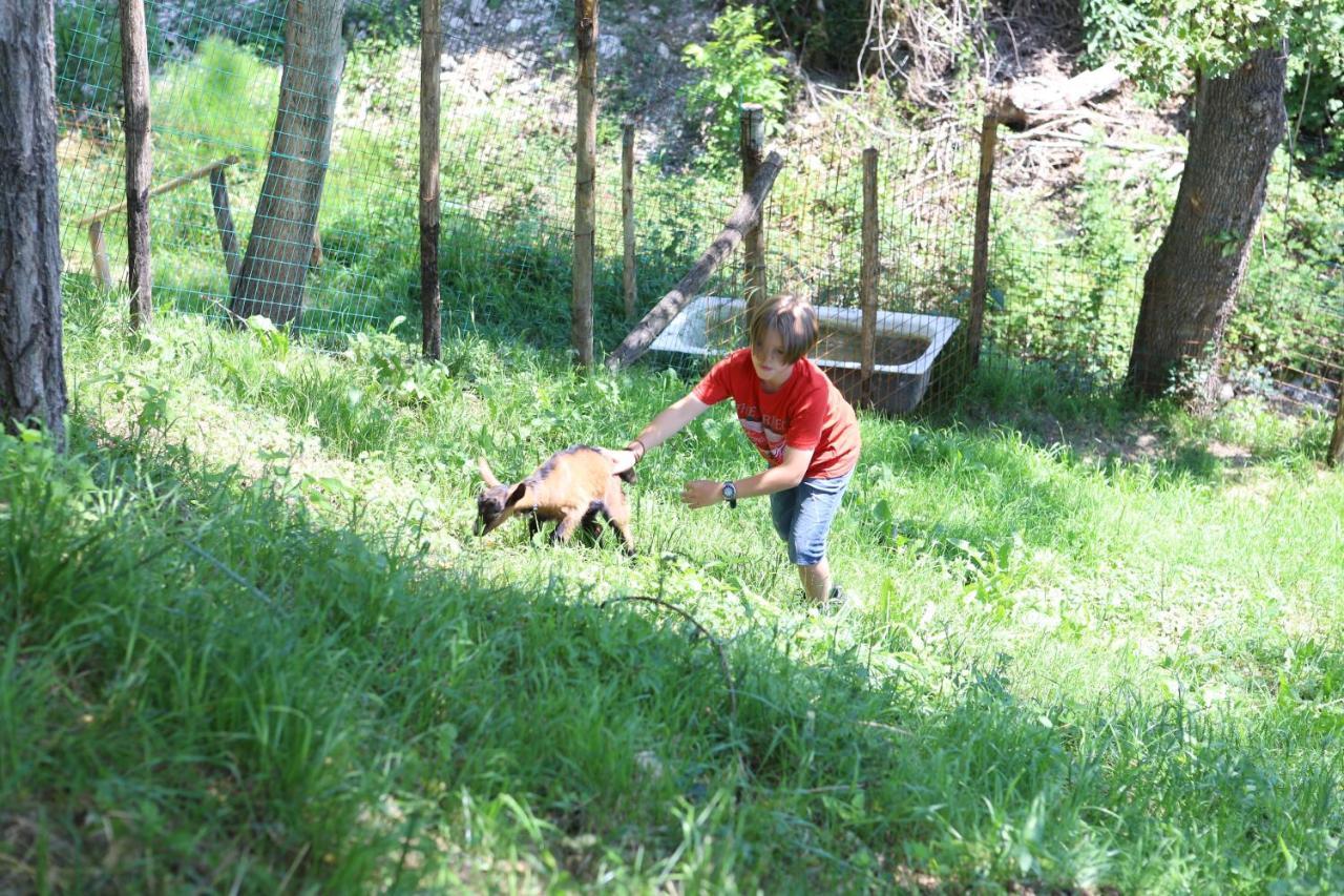 Alloggio per agriturismo Fattoria Monte Baldo
