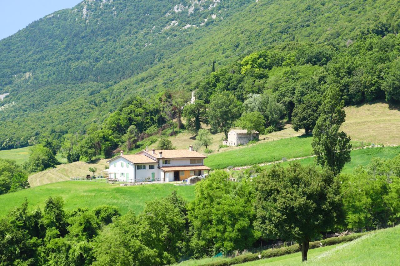 Agriturismo Fattoria Monte Baldo Vista Lago Séjour à la ferme Caprino Veronese