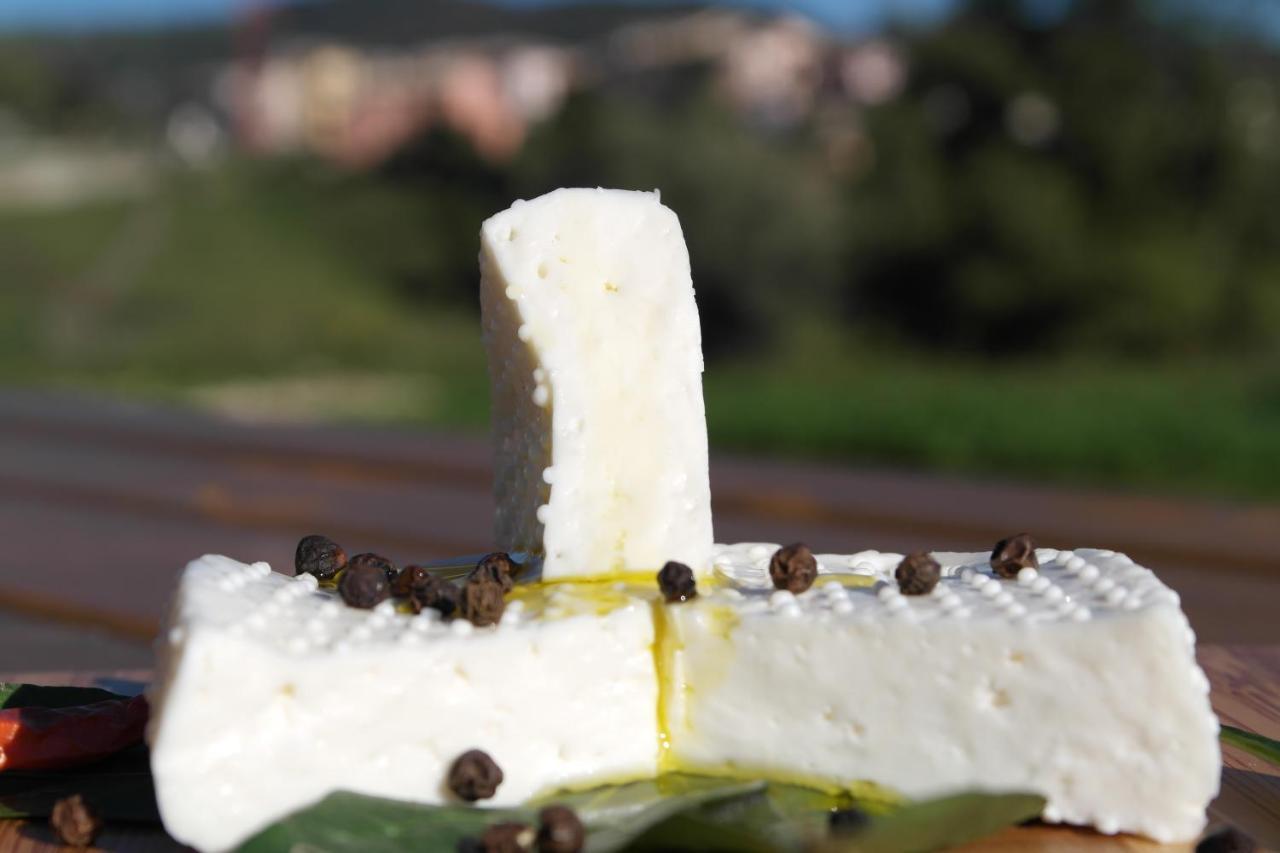 Fattoria Monte Baldo Vista *
